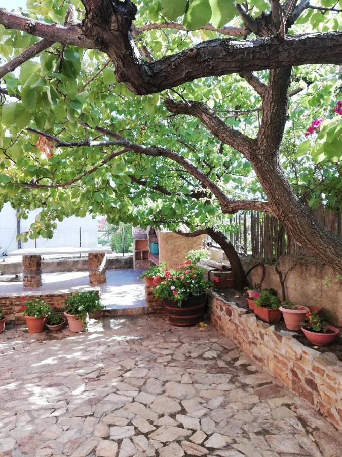 Villa Le Ginestre Ла Калета Екстериор снимка